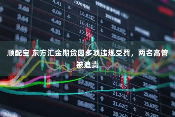 顺配宝 东方汇金期货因多项违规受罚，两名高管被追责