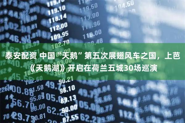 泰安配资 中国“天鹅”第五次展翅风车之国，上芭《天鹅湖》开启在荷兰五城30场巡演